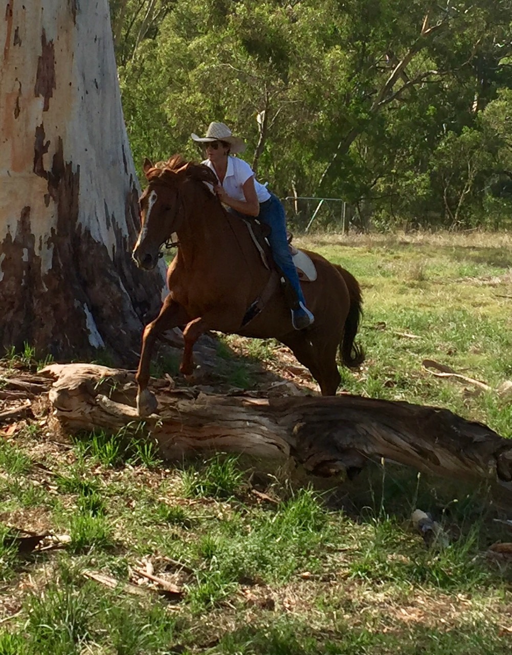 HorseRidingIsTheBestTherapy3.jpg