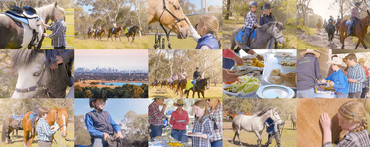 Horse Riding Lessons